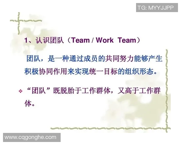 重庆排球队团队协作的独特优势与其他球队的对比分析